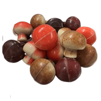 Herfst paddenstoeltjes